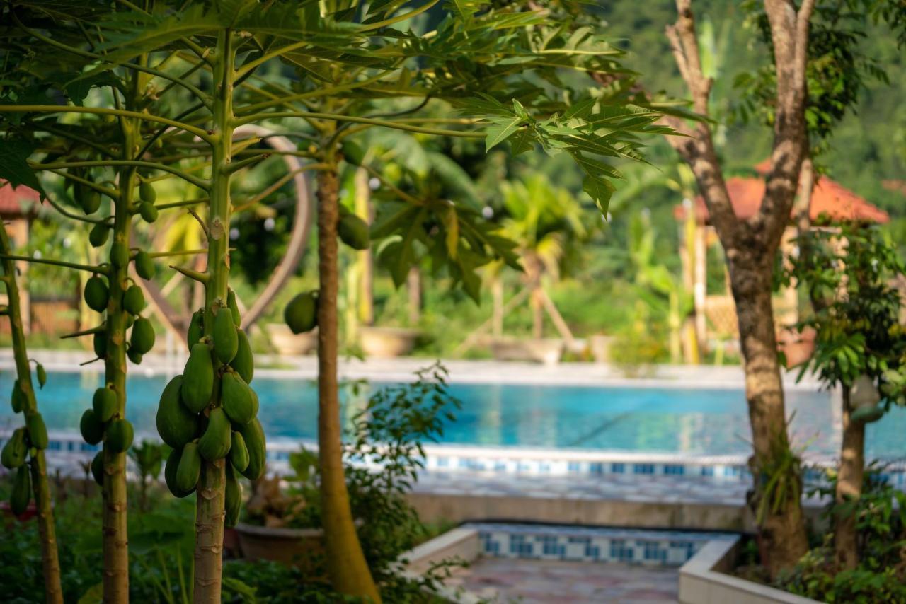 Tan Dinh Farmstay Ninh Bình Exteriör bild