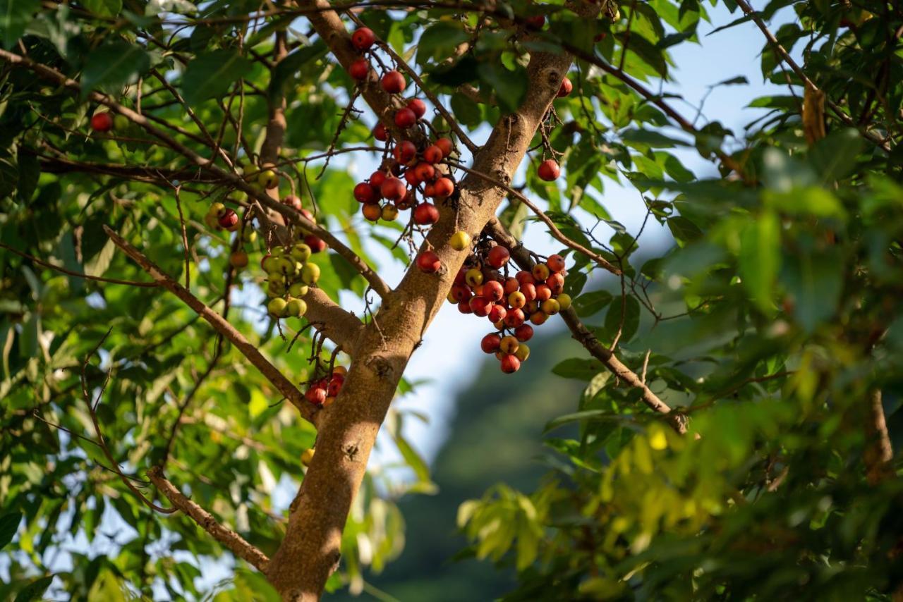 Tan Dinh Farmstay Ninh Bình Exteriör bild